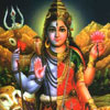 Символ единения Бога со своей Шакти — Ардханари, единое существо, соединяющее в себе женское и мужское начала, наполовину мужчина, наполовину женщина.