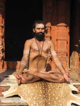 Во многих индийских храмах, принадлежащих к ведическим школам преемственности, проводится поклонение тантрического типа, или с явными элементами Тантризма